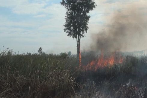 Puluhan Hektar Lahan Gambut di Desa Soak Batok Ogan Ilir Terbakar