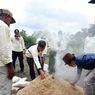 Jaga Ketahanan Pangan, BRG Gelar Pelatihan Pertanian Lahan Gambut di Merauke