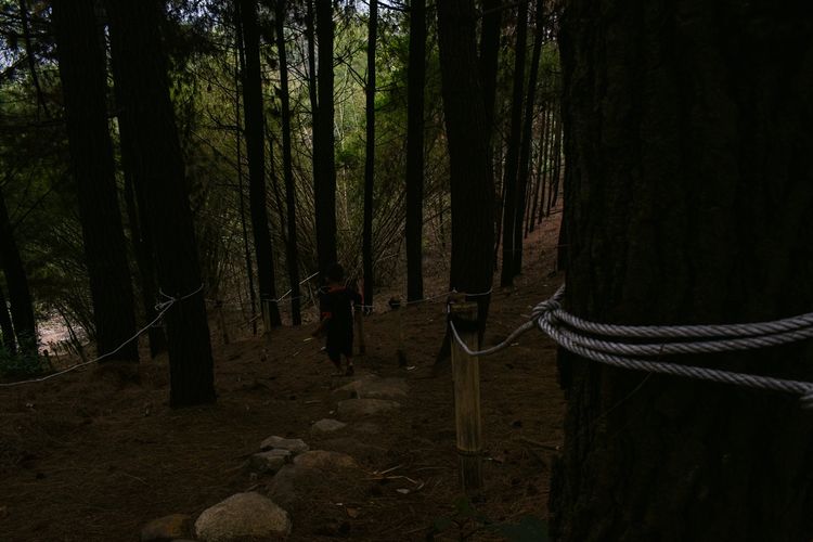 Seorang anak memasuki hutan tutupan di Gunung Puncak Salam wilayah Kampung Adat Cireundeu, Kelurahan Lewigajah, Kecamatan Cimahi Selatan, Kota Cimahi.