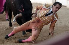 Dalam 12 Bulan Dua Matador Spanyol Tewas di Dalam Arena