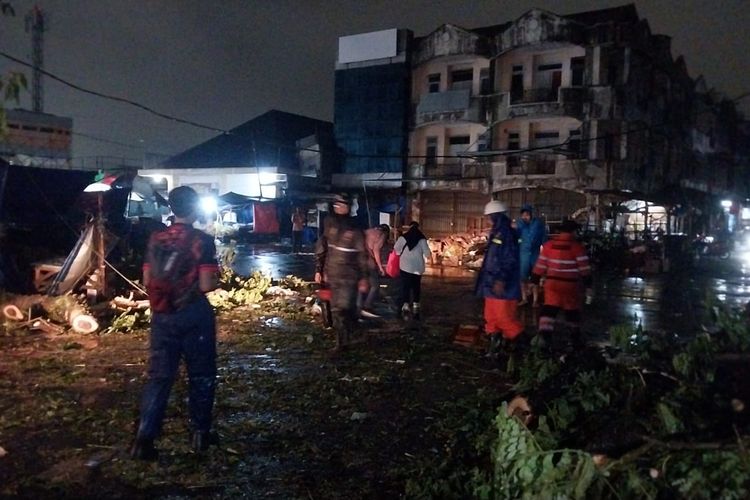 Pohon Trembesi 15 Meter Tumbang Mendadak di Bogor, L300 Nyaris Tertimpa