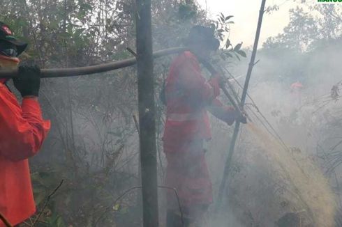 Kebakaran Lahan Gambut di Dumai Sulit Padam, Petugas Pakai Racun Api