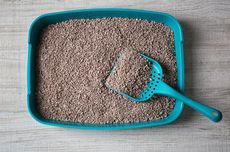 Stok Beras Aman, Mendagri Paparkan Penyaluran Bantuan Pangan bagi Daerah Bencana