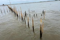 "Misteriusnya" Pagar di Laut Tangerang, Sudah Disegel tapi Pemiliknya Tetap Belum Diketahui...