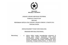 UU Paten, Program Komputer, dan Industri Digital Nasional (Bagian I)