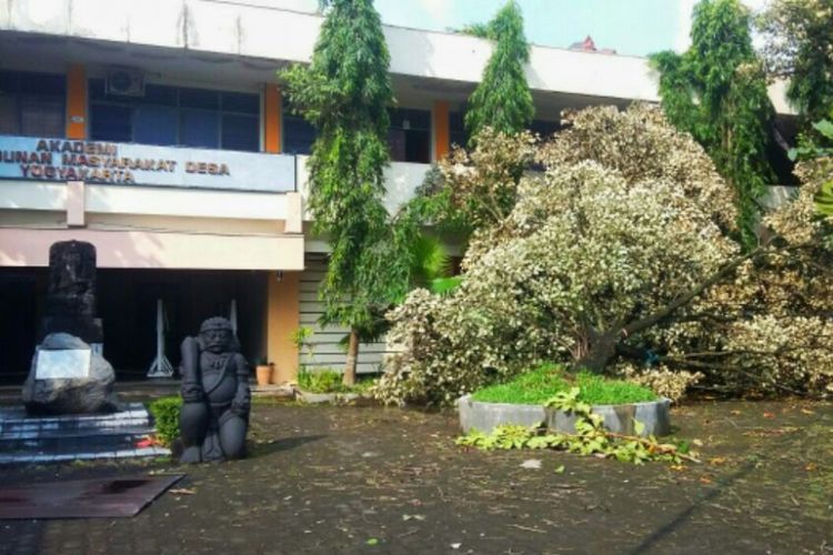 Pohon tumbang di Sekolah Tinggi Pembangunan Masyarakat Desa (STPMD) Yogyakarta  akibat terjangan angin puting beliung.