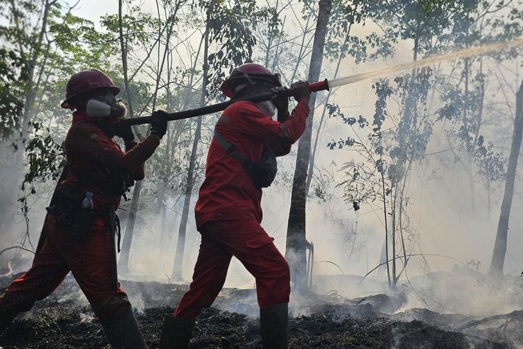 Sudah 15 Hari Padamkan Karhutla, tapi Honor 102 Relawan di OKI Sumsel Belum Cair
