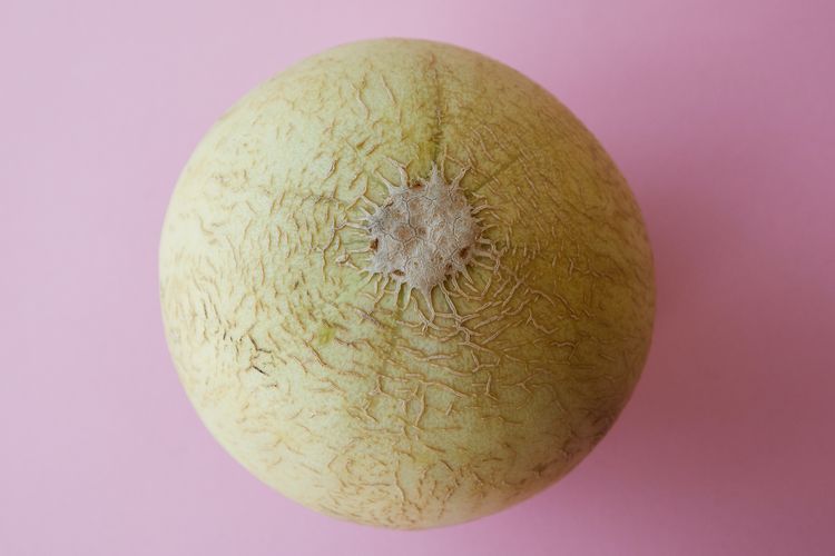 Ilustrasi bagian bekas potongan tangkai buah melon. 
