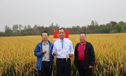 Kementrans Tindaklanjuti Minat Investor Wuhan untuk Bangun Desa Wisata Pertanian di Kawasan Transmigrasi