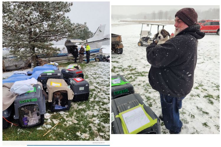 52 anjing selamat dalam kecelakaan pesawat di lapangan bersalju di Wisconsin