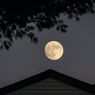 Apa Penyebab Terjadinya Bulan Purnama?