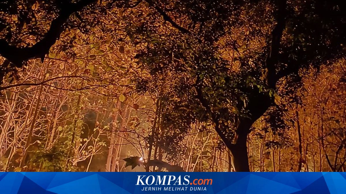 Lagi, Karhutla Kembali Landa Hutan Rakyat di Ponorogo, Tiga Hektare Lahan Terbakar