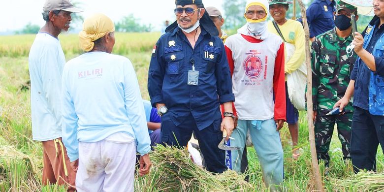 Harus Tahu Produktivitas Pertanian di Blora Meningkat, Bukti Pentingnya Embung