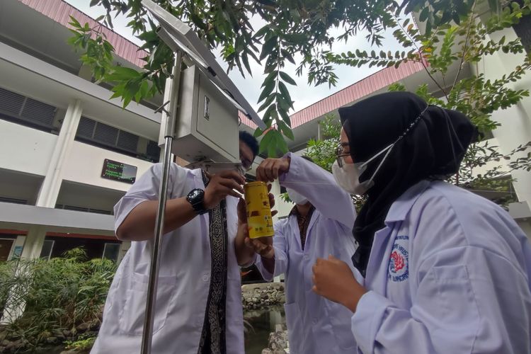 Nggusah, alat penemuan akademisi UKSW yang berguna untuk mengusir burung di sawah