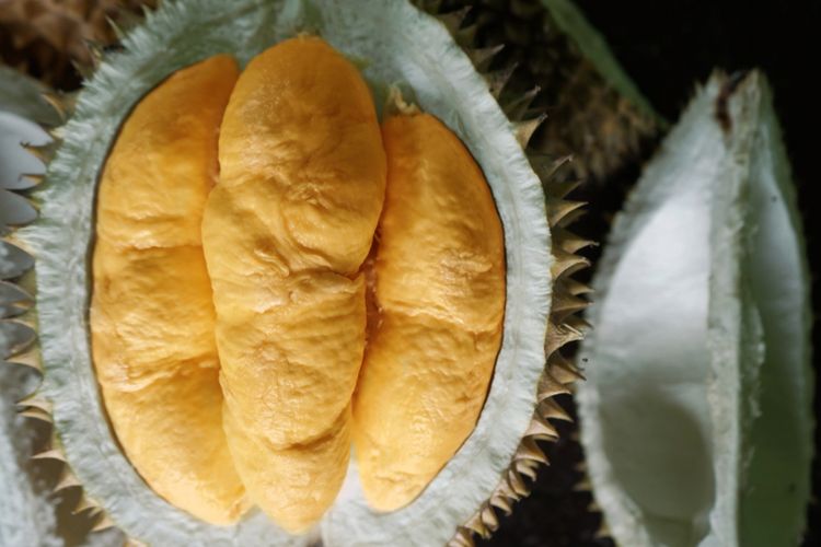 Ilustrasi buah durian bawor. 