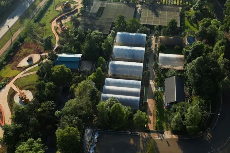 Taman Kehati dilengkapi nursery, arboretum konservasi eksitu seluas sekitar 5 ha, penangkaran rusa, taman kupu-kupu, hingga showcase area.