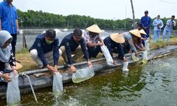 Kembangkan SDM, Kementerian KP Manfaatkan SLP Budi Daya Air Payau dan Pusat Studi Mangrove Pulokerto