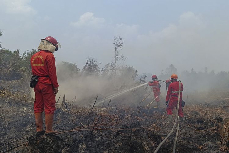 Kondisi kebakaran hutan dan lahan yang berlangsung di Kabupaten Ogan Komering Ilir (OKI), Sumatera Selatan.