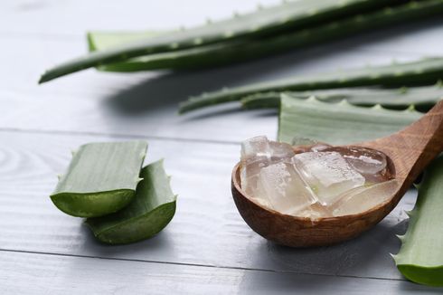 Manfaat Aloe Vera untuk Menjadikan Wajah Glowing 