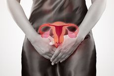 7 Macam Penyakit pada Sistem Reproduksi Wanita