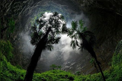 Sinkhole Raksasa Ditemukan di China, Uniknya Berisi Pohon Kuno
