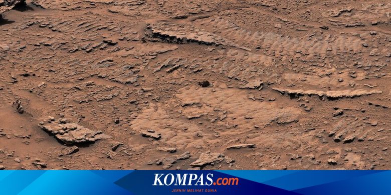 Potensi Bahaya? Bakteri Penyebab Penyakit Ditemukan Bisa Bertahan Hidup di Mars