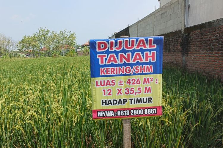 Cek Sertifikat Tanah di BPN Cuma 1 Hari, Ini Biayanya