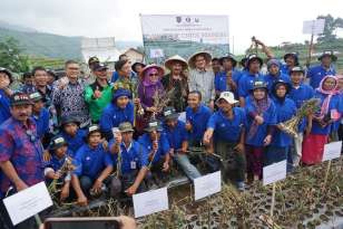 Bupati Tegal, Jawa Tengah, Enthus Susmono beserta petani melakukan panen raya bawang putih di Desa Tuwel, Tegal. 