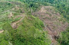 Mengkritisi Gagasan Pengelolaan Hutan Para Cawapres