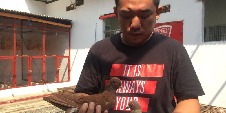 Robby Beli Burung Rp 1 Miliar Istrinya Kaget Lu Gila Ya Beli