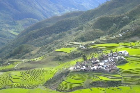 Desa Rinding Allo di Sulsel, Dikelilingi Sawah Terasering Nan Asri