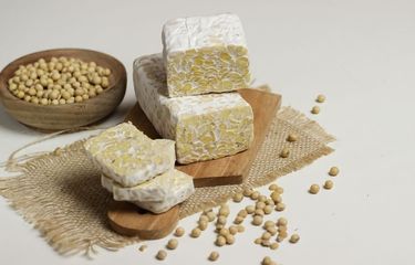 Contoh-contoh Produk Bioteknologi