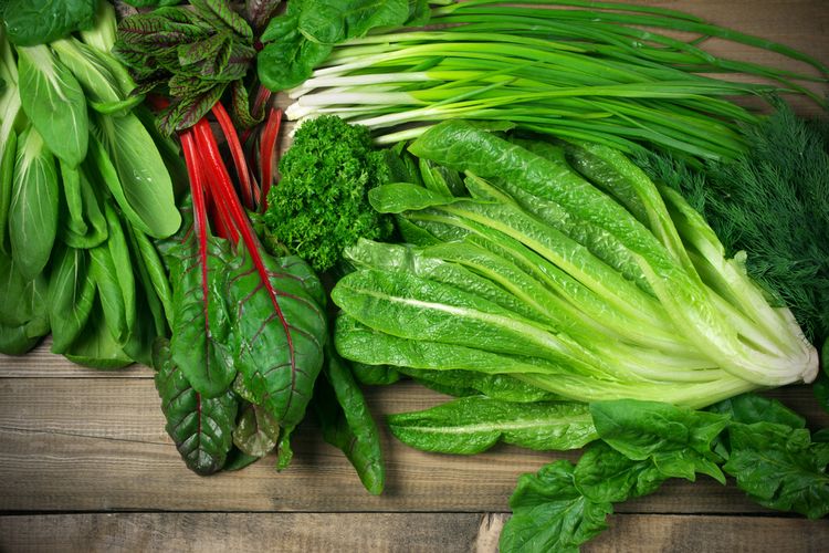 Cara mengurangi pahit pada sayuran hijau bisa dengan merebusnya atau memasak sayur menggunakan banyak bumbu.
