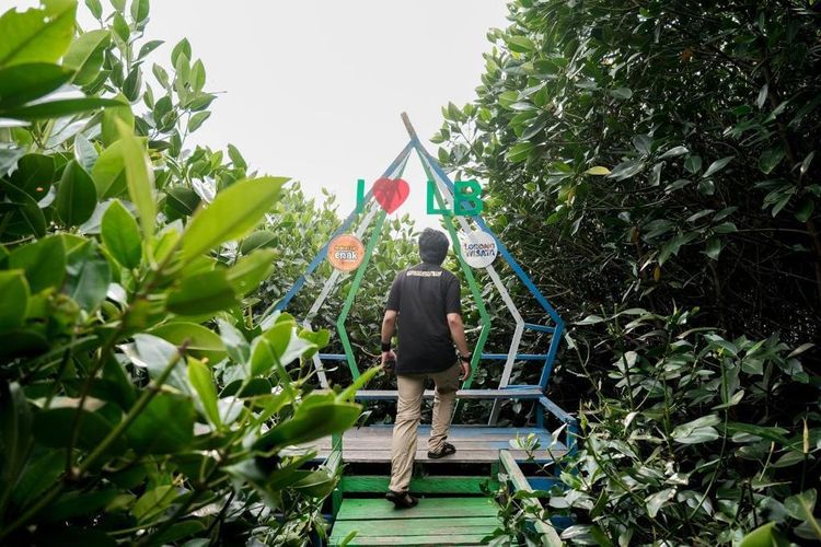 Ilustrasi wisata Mangrove di Desa Wisata Lantebung, salah satu dari 75 desa wisata terpilih dalam ajang Anugerah Desa Wisata Indonesia (ADWI) 2023. Desa wisata ini berada di Makassar, Sulawesi Selatan.