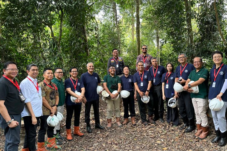 Romobongan FAO dan Kementerian Pertanian saat berkunjung ke perkebunan kelapa sawit di Riau, Jumat (30/8/2024). 