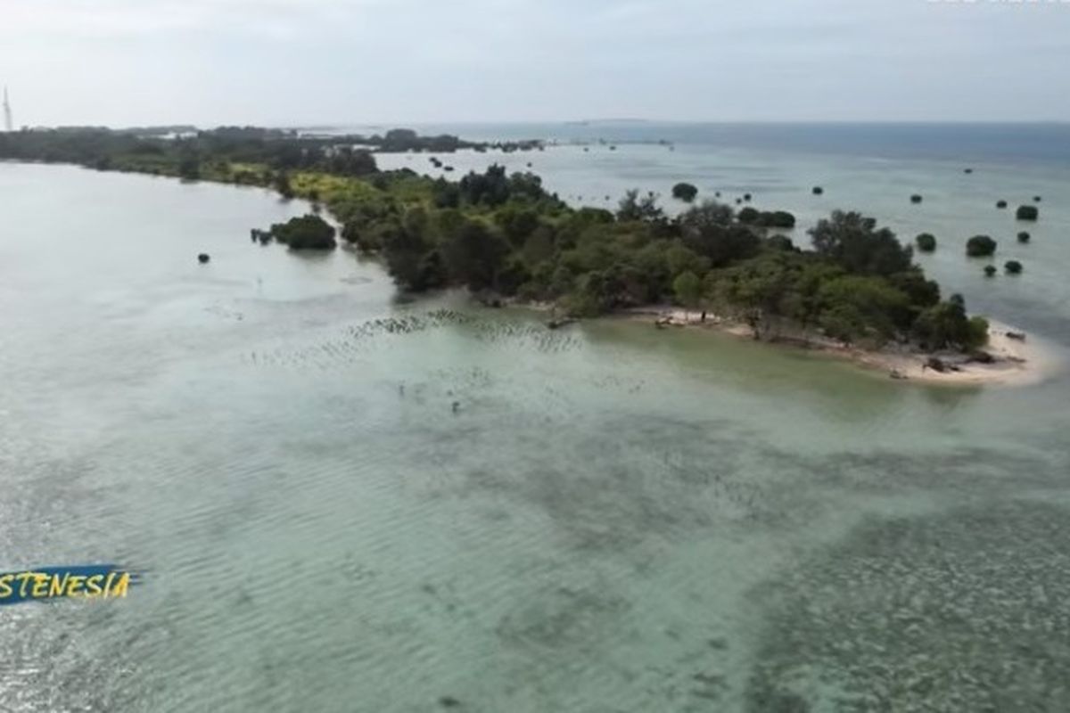 Pulau Pari di Kepulauan Seribu, Jakarta.  Tangkapan layar SUSTENESIA KompasTV episode Benteng Iklim Negeri Maritim