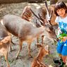Jam Buka dan Harga Tiket Bali Zoo, Bisa Mampir Saat Libur Sekolah
