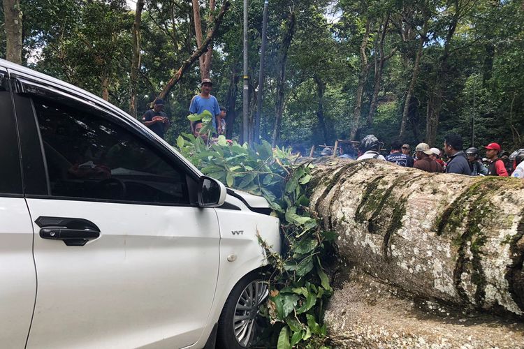 Salah satu mobil yang tertimpa pohon besar di Jalur Gunung Gumitir pada Minggu (19/9/2021)