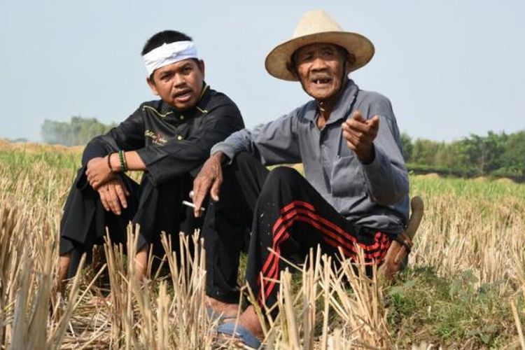 Demi Petani, 46.000 Hektar Sawah di Purwakarta Diasuransikan