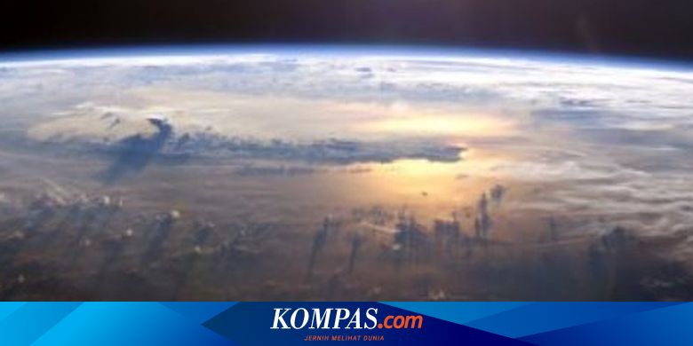  Hewan  Pertama  di  Bumi  Ikut Bertanggung Jawab pada 