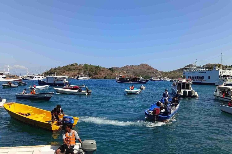 Pelayaran ke Pulau Komodo dan Padar Dibuka, Ribuan Turis Padati Pelabuhan