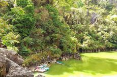 Kolam Alam Limbong, Wisata Toraja yang Terlupakan