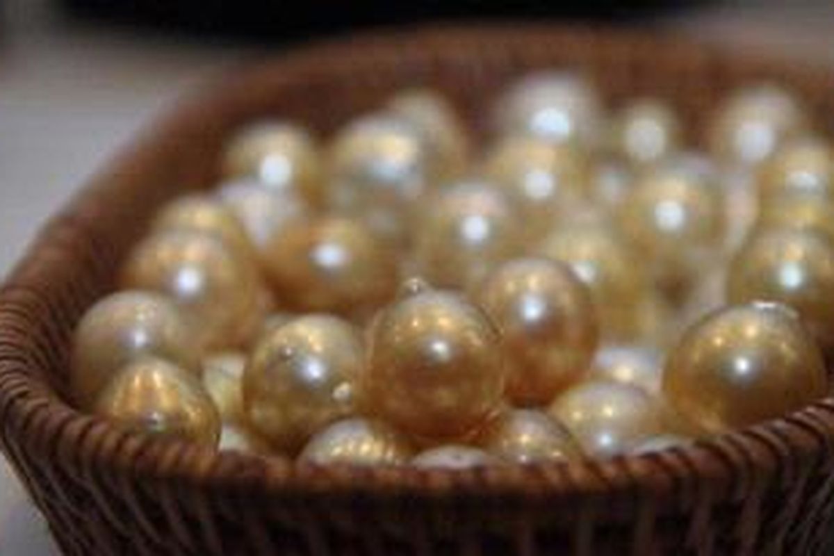 Lombok Sumbawa Pearl Festival 2011 menampilkan 200 kilogram mutiara berkualitas untuk dilelang.