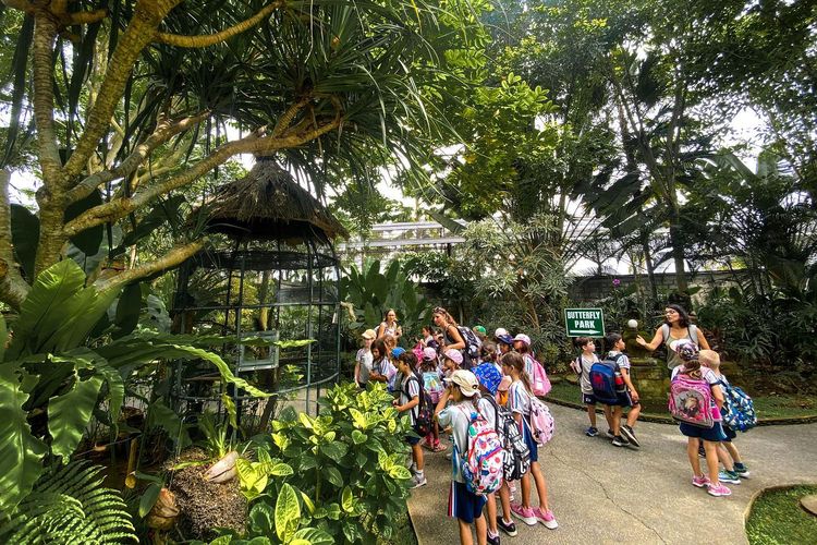 Aktivitas edukasi di Kemenuh Butterfly Park Bali