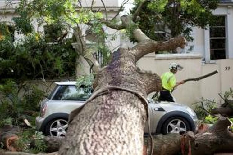 Petugas penyelamat berusaha memotong sebuah pohon besar yang tumbang dan menimpa sebuah mobil di London, Inggris, Senin (28/10/2013). Akibat badai yang menghantam Inggris, Belanda, Perancis, dan Jerman sedikitnya delapan orang tewas.