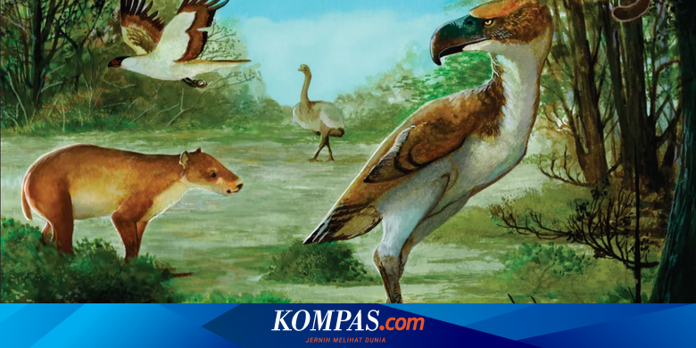 5000万年前、南極で身長2メートルの鳥が捕食者になった