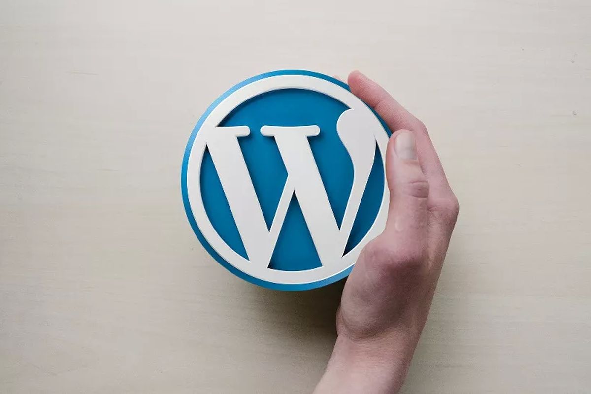 Ilustrasi Wordpress.