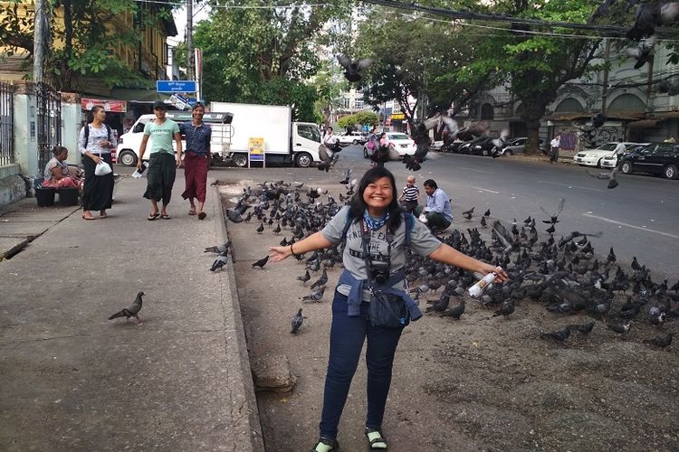 Merpati-merpati di salah satu sudut Kota Yangon, Myanmar.