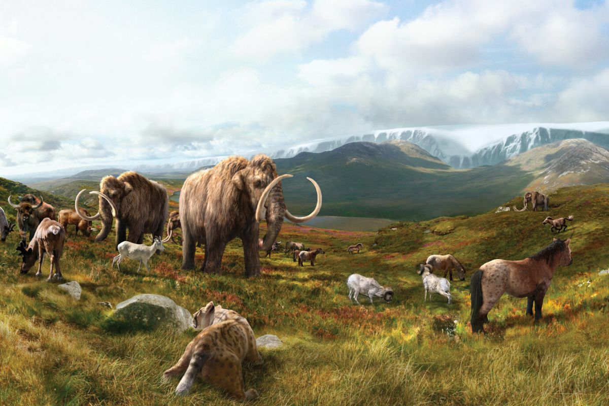Menggunakan teknologi pengayaan DNA, peneliti ungkap sampel tanah permafrost Kanada mengandung DNA kuno dari mammoth, kuda liar Yukon dan berbagai bentuk kehidupan purba yang pernah ada ribuan tahun lalu di Amerika Utara.