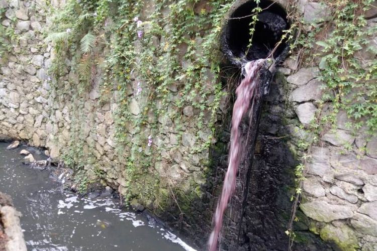 Hasil penelitian yang dilakukan terhadap dua jenis ikan tersebut yang sampelnya diambil dari aliran Sungai Citarum ternyata sungguh mencengangkan.